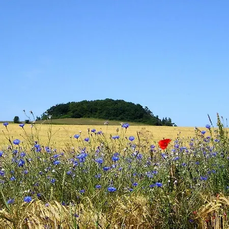 Haus In Idyllischer Lage Mit Sauna, Terrasse Und Garten - Morgensuenn * Trent