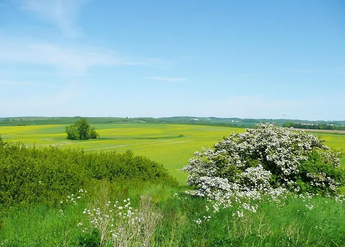 Haus In Idyllischer Lage Mit Sauna, Terrasse Und Garten - Morgensünn Ferienhaus *