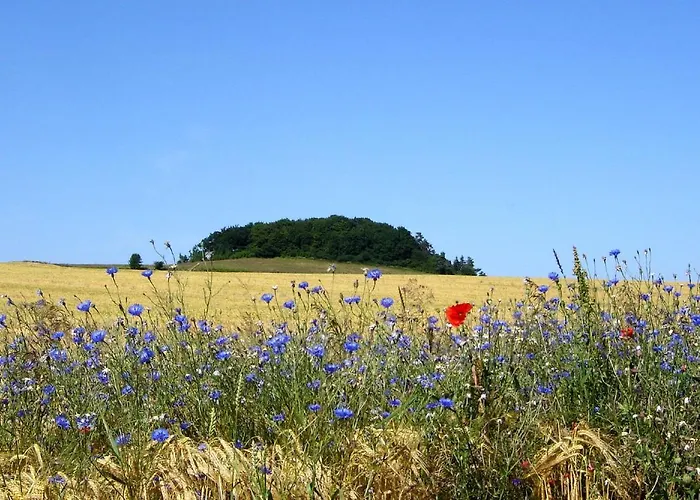 Haus In Idyllischer Lage Mit Sauna, Terrasse Und Garten - Morgensünn * Trent